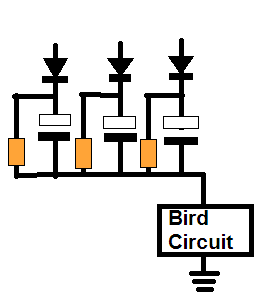 bird sound timer circuit